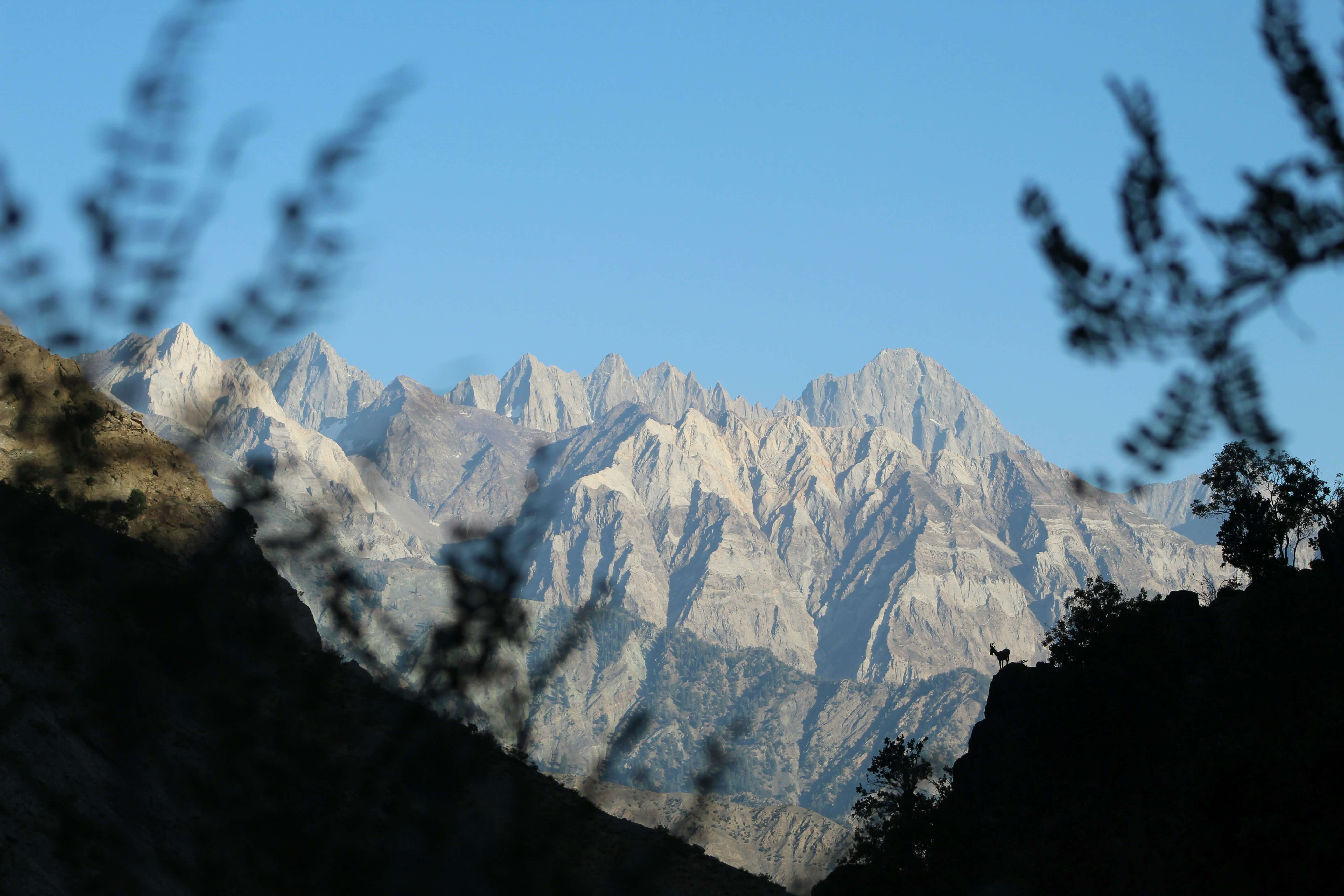 gol national park chitral